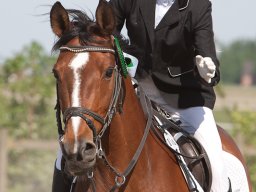 2016 SydhavsCup spring finale 22. maj